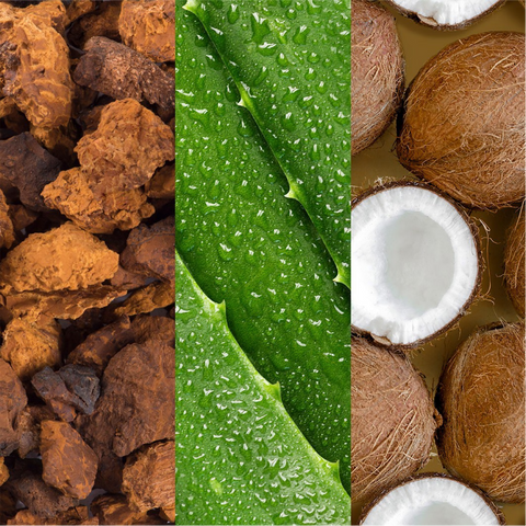 spray viso Mario Badescu Facial Spray with Aloe Adaptogens and Coconut water