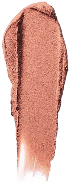 rossetto Mac Cosmetics Powder Kiss Lipstick 311 MY TWEEDY